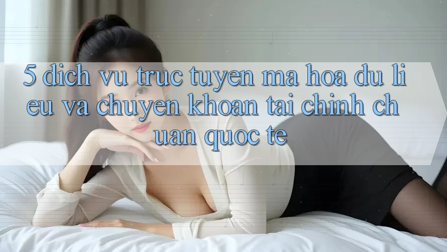 5. Dịch vụ trực tuyến Mã hóa dữ liệu Và Chuyển khoản Tài Chính Chuẩn Quốc Tế 5. Dịch vụ trực tuyến Mã hóa dữ liệu Và Chuyển khoản Tài Chính Chuẩn Quốc Tế