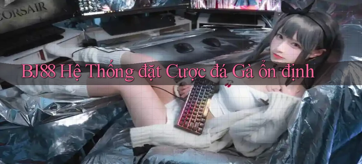bj88  hệ thống đặt cược đá gà ổn định