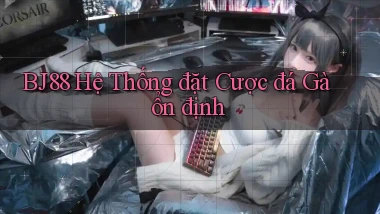 bj88  hệ thống đặt cược đá gà ổn định