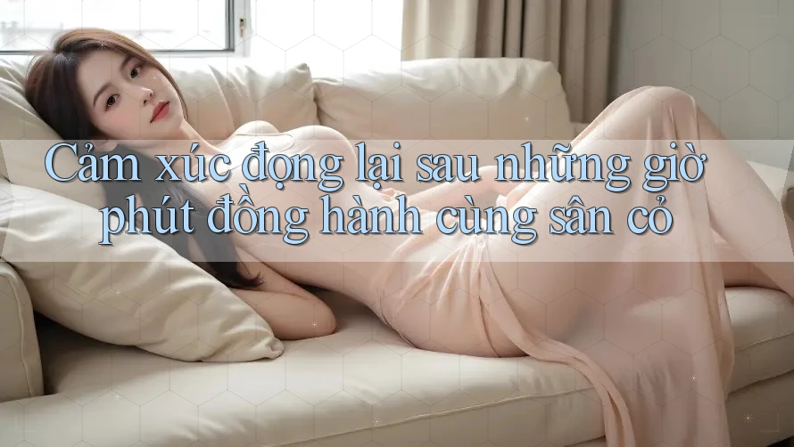 Cảm xúc đọng lại sau những giờ phút đồng hành cùng sân cỏ Cảm xúc đọng lại sau những giờ phút đồng hành cùng sân cỏ