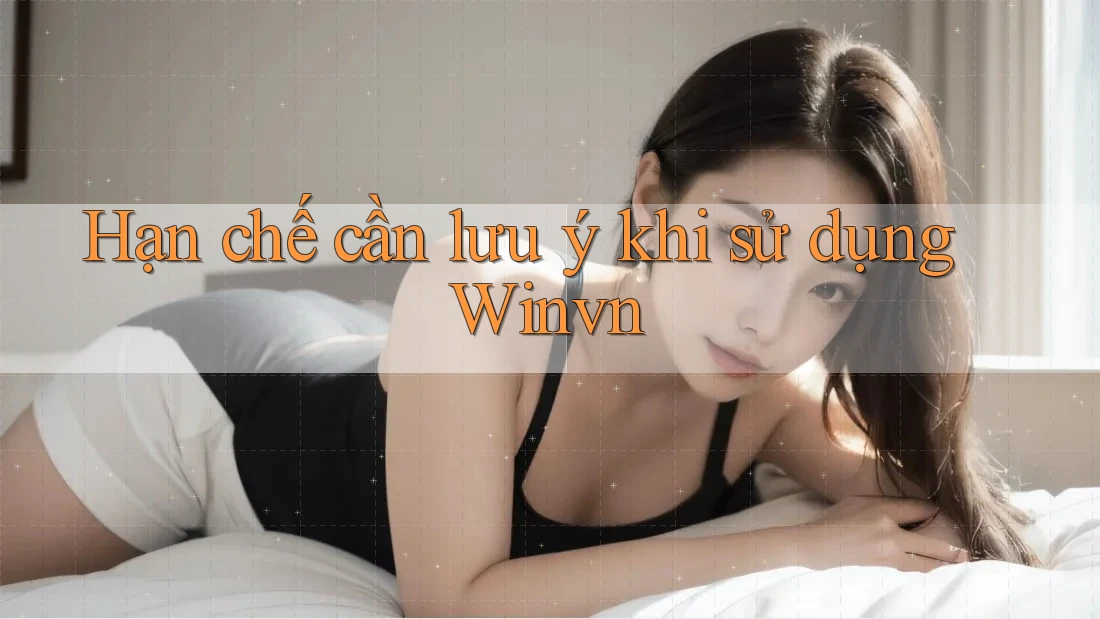 Hạn chế cần lưu ý khi sử dụng Winvn Hạn chế cần lưu ý khi sử dụng Winvn