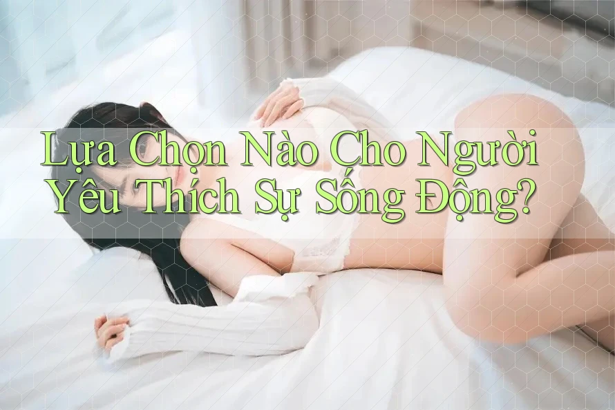 Lựa Chọn Nào Cho Người Yêu Thích Sự Sống Động? Lựa Chọn Nào Cho Người Yêu Thích Sự Sống Động?