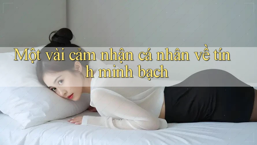 Một vài cảm nhận cá nhân về tính minh bạch Một vài cảm nhận cá nhân về tính minh bạch