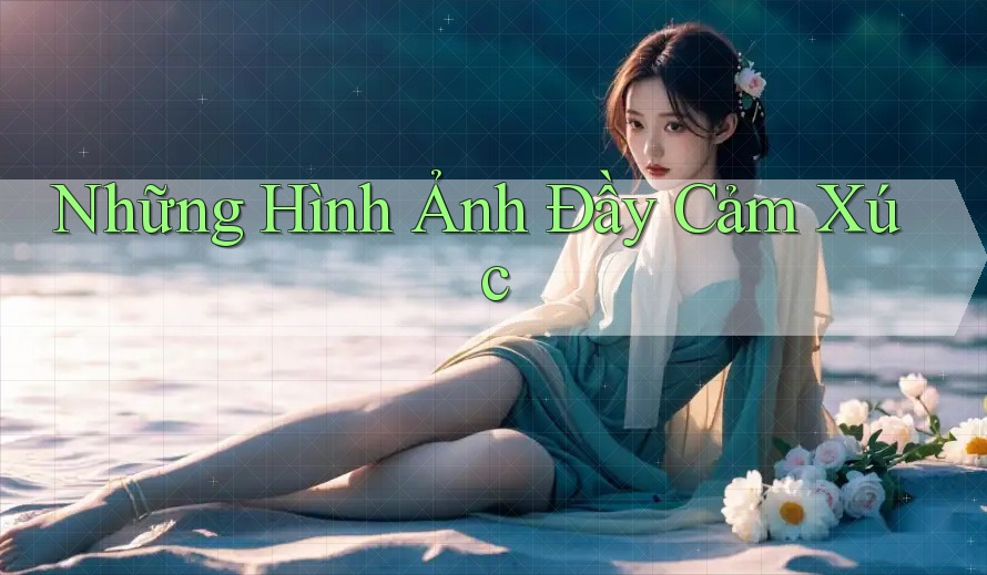 Những Hình Ảnh Đầy Cảm Xúc Những Hình Ảnh Đầy Cảm Xúc