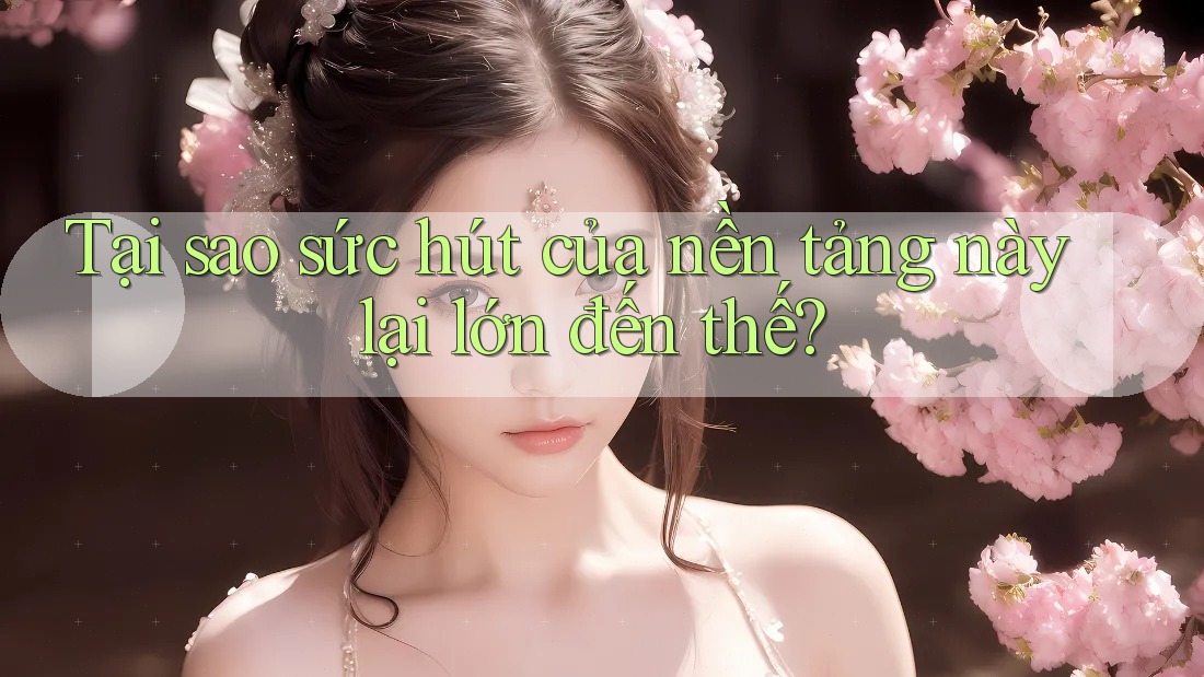 Tại sao sức hút của nền tảng này lại lớn đến thế? Tại sao sức hút của nền tảng này lại lớn đến thế?