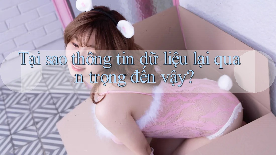 Tại sao thông tin dữ liệu lại quan trọng đến vậy? Tại sao thông tin dữ liệu lại quan trọng đến vậy?