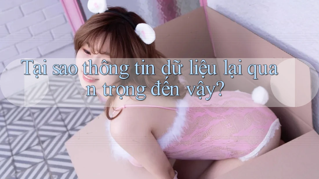 Tại sao thông tin dữ liệu lại quan trọng đến vậy?